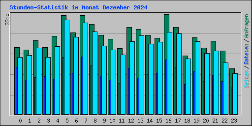 Stunden-Statistik im Monat Dezember 2024