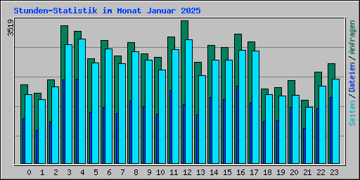Stunden-Statistik im Monat Januar 2025
