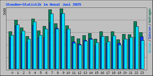 Stunden-Statistik im Monat Juni 2025
