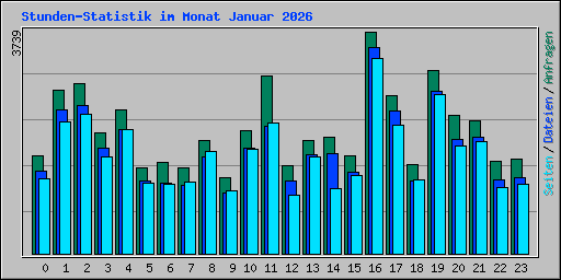 Stunden-Statistik im Monat Januar 2026