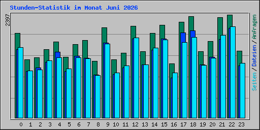 Stunden-Statistik im Monat Juni 2026